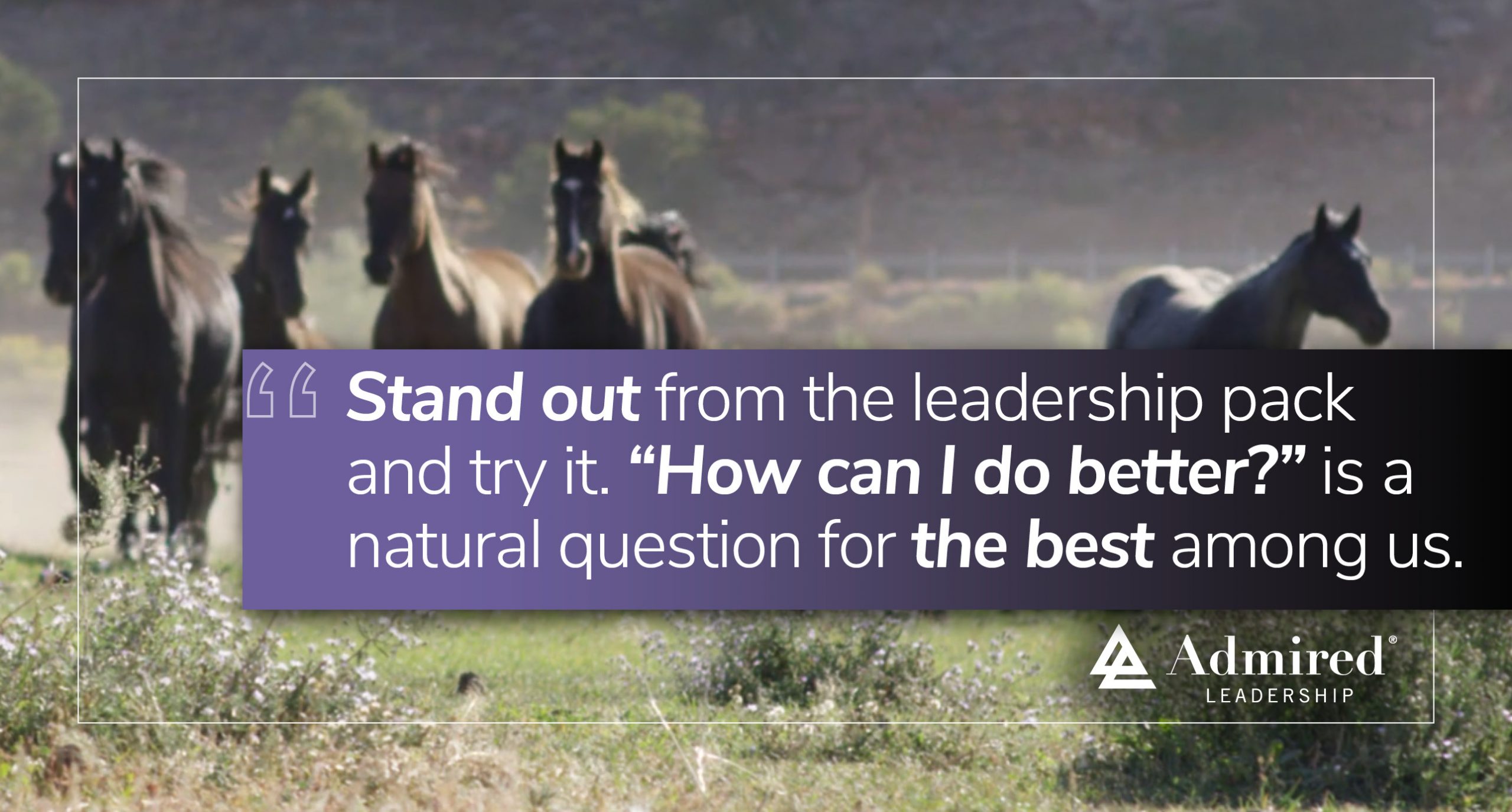 How Can I Do Better?