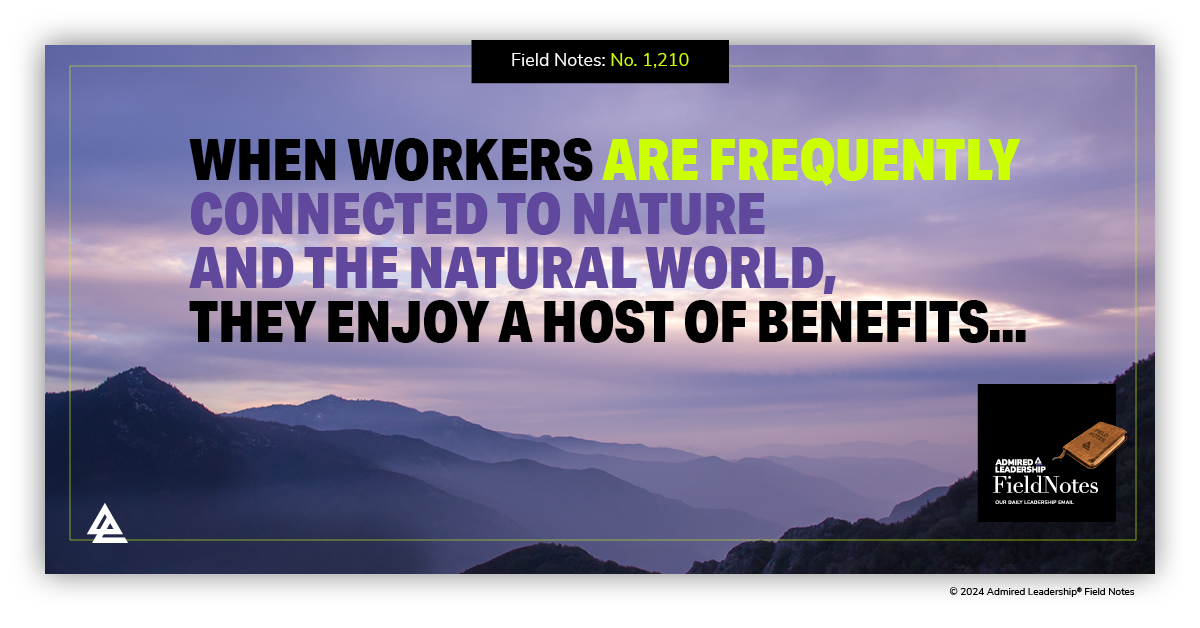 Leadership, Well-Being, and the Power of the Natural World