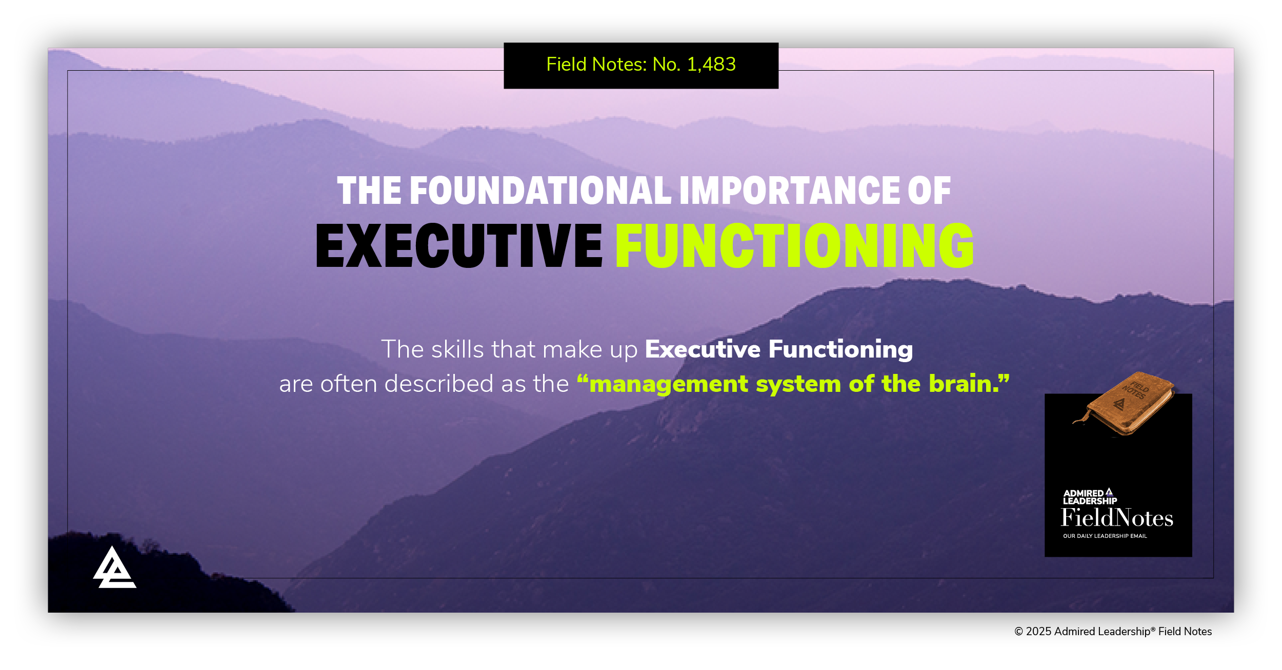 The Foundational Importance of Executive Functioning